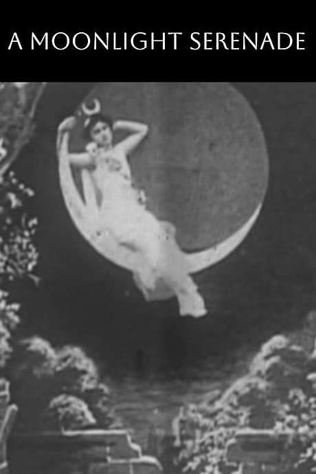 A Moonlight Serenade (1903) movie poster