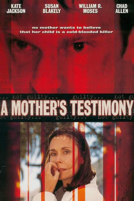 A Mother’s Testimony (2001) movie poster