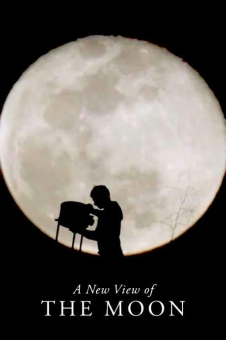 A New View of the Moon (2018) movie poster