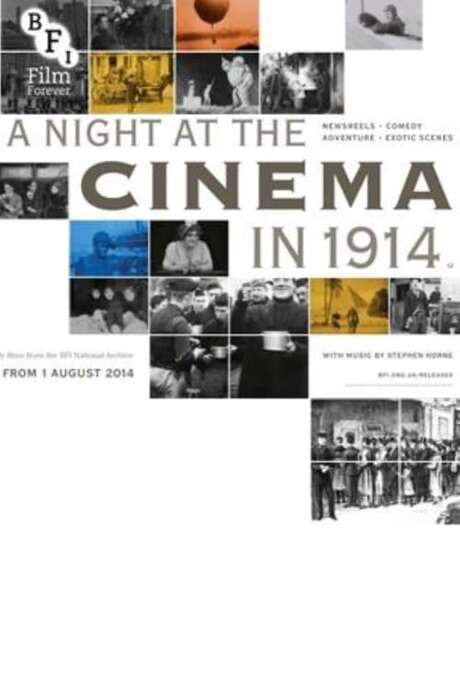 A Night at the Cinema in 1914 (2014) movie poster