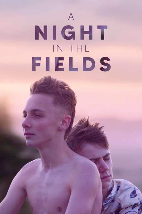 A Night in the Fields (2020) movie poster