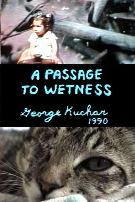 A Passage to Wetness (1990) movie poster