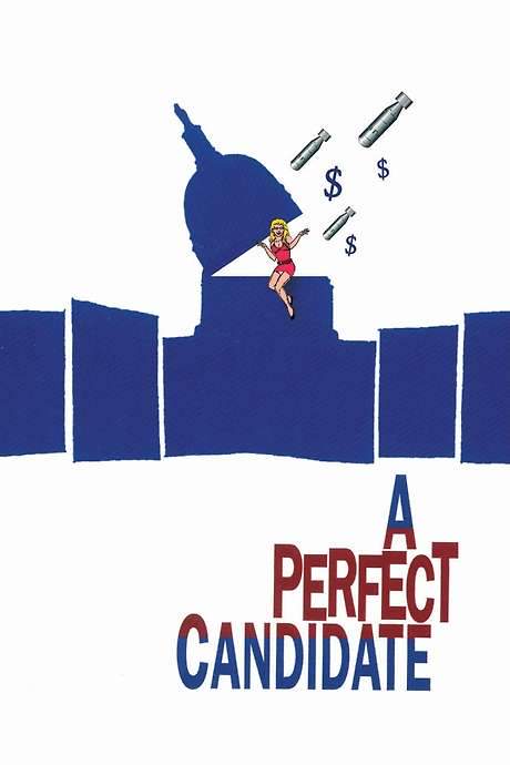 A Perfect Candidate (1996) movie poster
