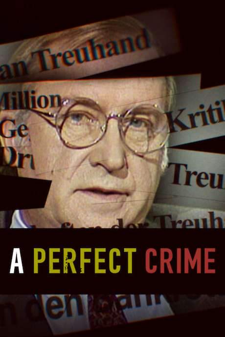 A Perfect Crime (2020) movie poster