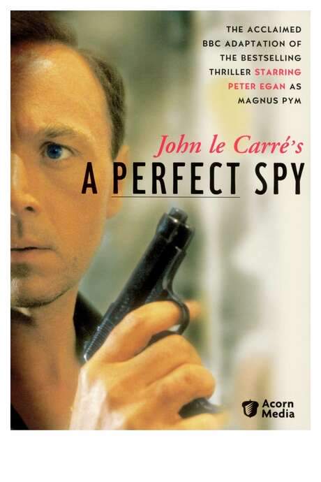 A Perfect Spy (1987) movie poster