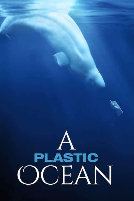 A Plastic Ocean (2016) movie poster