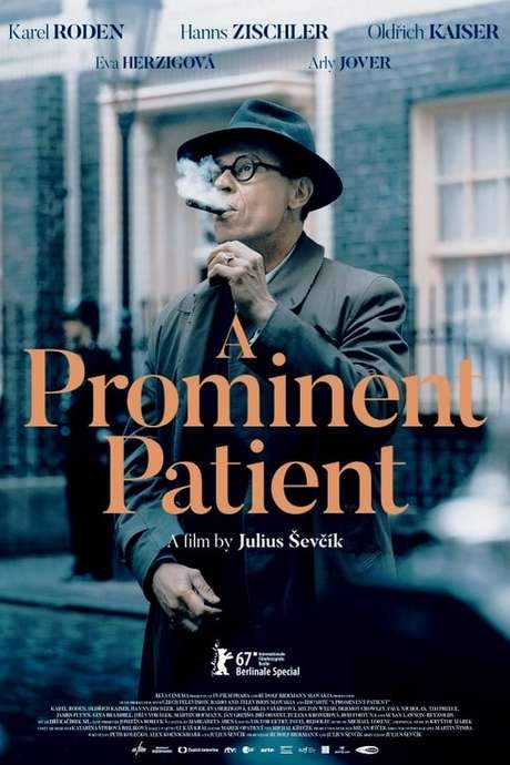 A Prominent Patient (2016) movie poster