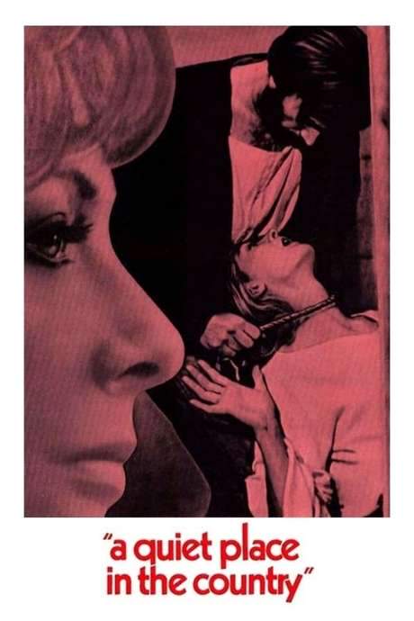A Quiet Place in the Country (1968) movie poster