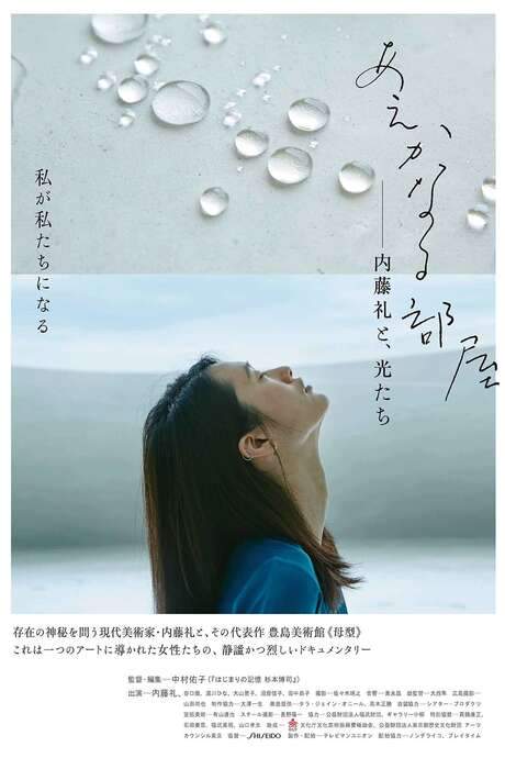 A Room of Her Own: Rei Naito and Light (2015) movie poster