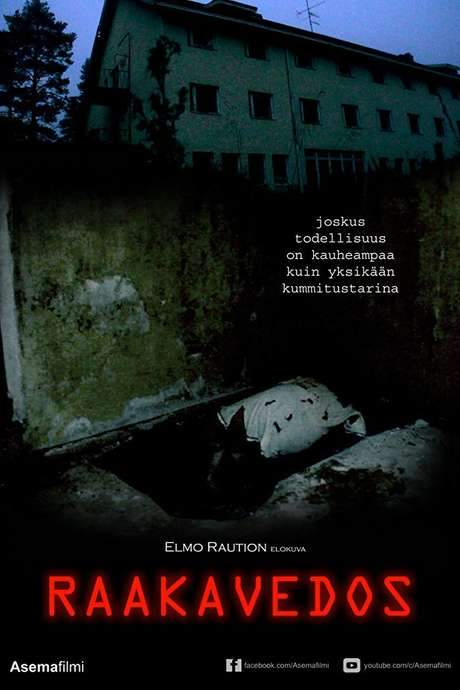 A Rough Cut (2016) movie poster