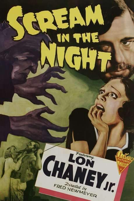 A Scream in the Night (1935) movie poster