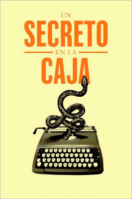 A Secret in the Box (2016) movie poster