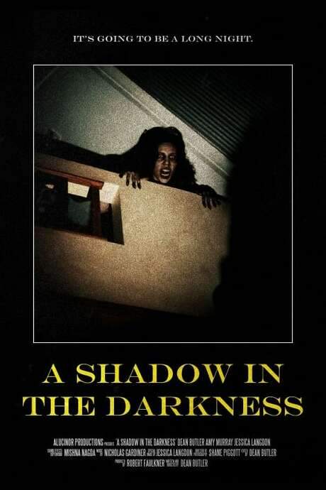 A Shadow In The Darkness (2022) movie poster