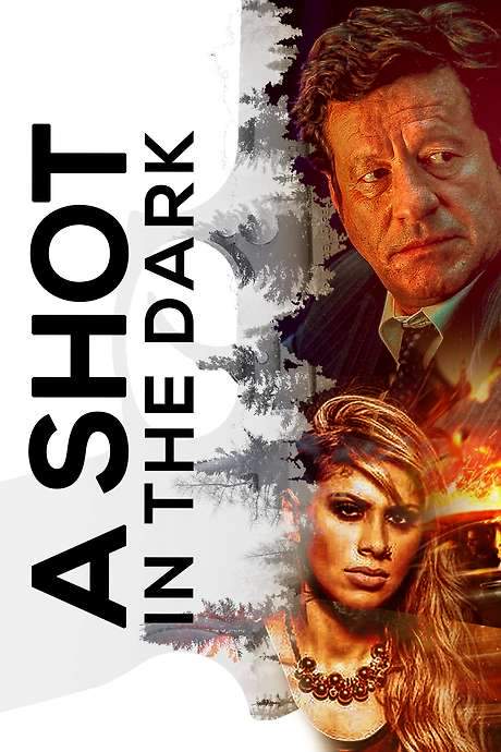 A Shot in the Dark (2005) movie poster