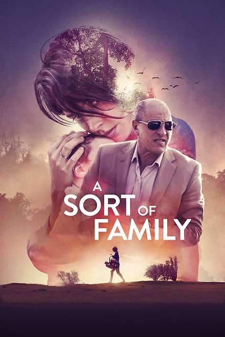 A Sort of Family (2017) movie poster