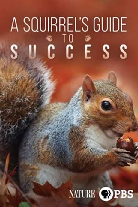 A Squirrel’s Guide to Success (2018) movie poster