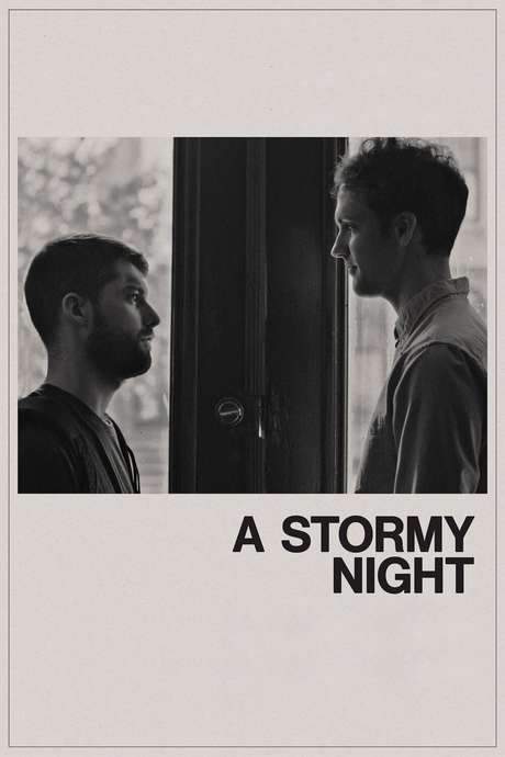 A Stormy Night (2020) movie poster