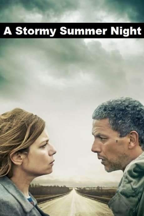 A Stormy Summer Night (2015) movie poster
