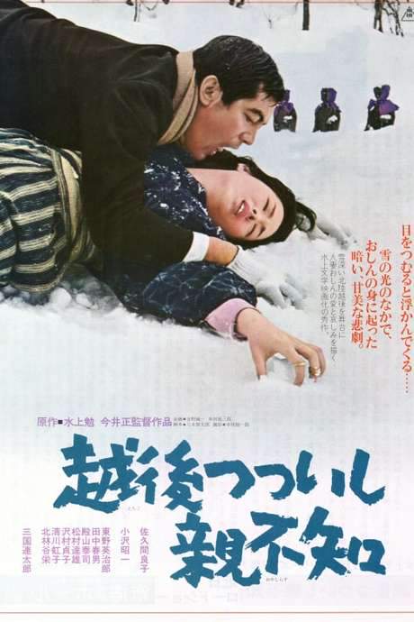 A Story from Echigo (1964) movie poster