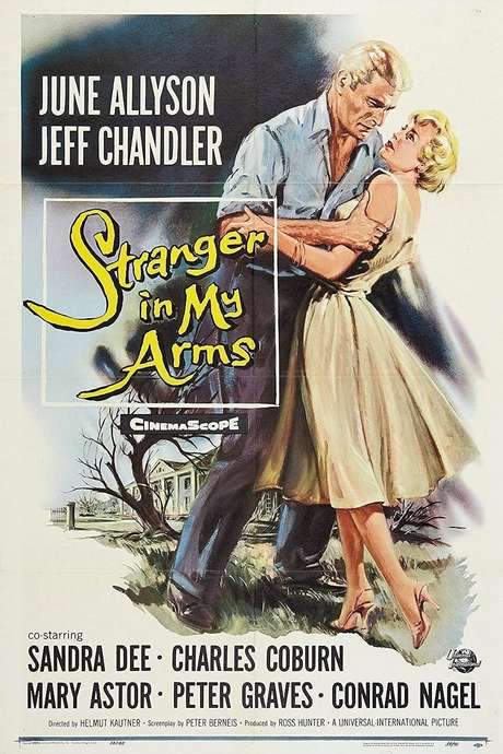A Stranger in My Arms (1959) movie poster