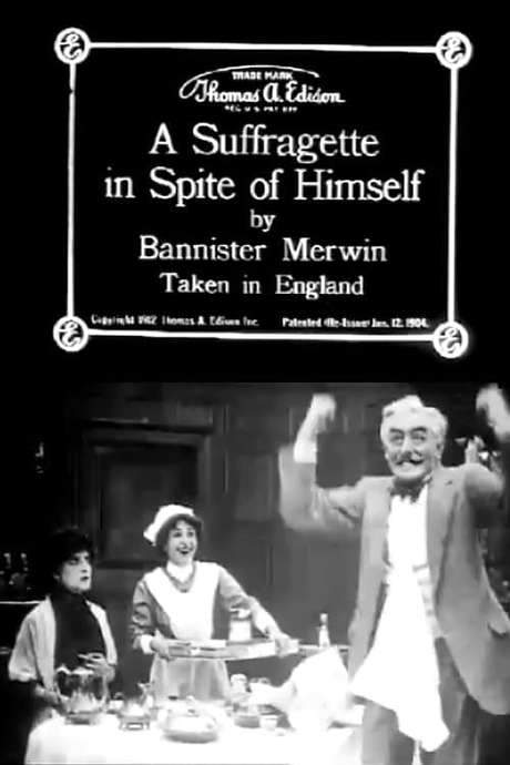 A Suffragette in Spite of Himself (1912) movie poster