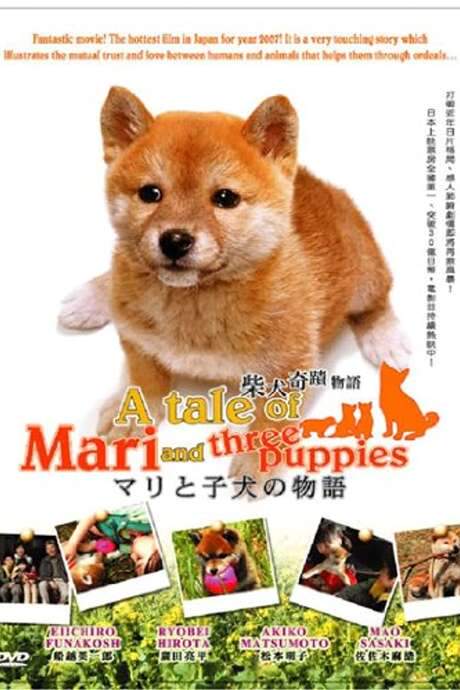 A Tale of Mari and Three Puppies (2007) movie poster