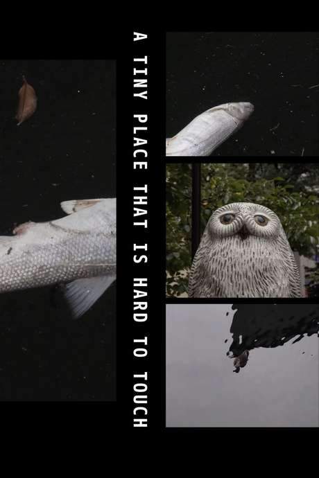 A Tiny Place That Is Hard to Touch (2019) movie poster