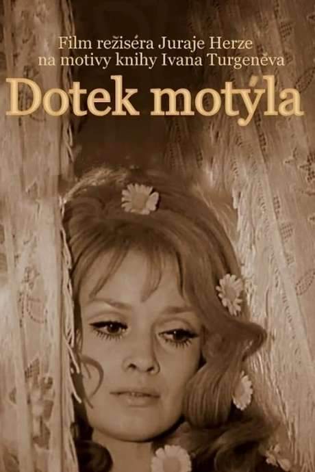 A Touch of a Butterfly (1972) movie poster