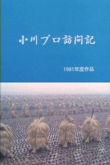 A Visit to Ogawa Productions (1981) movie poster