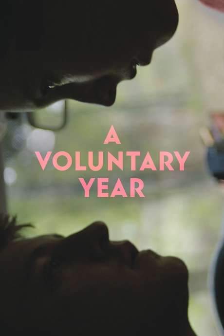 A Voluntary Year (2019) movie poster