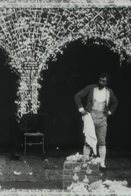 A Wager Between Two Magicians, or, Jealous of Myself (1904) movie poster
