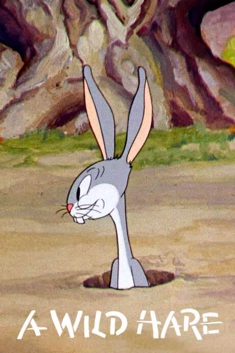 A Wild Hare (1940) movie poster