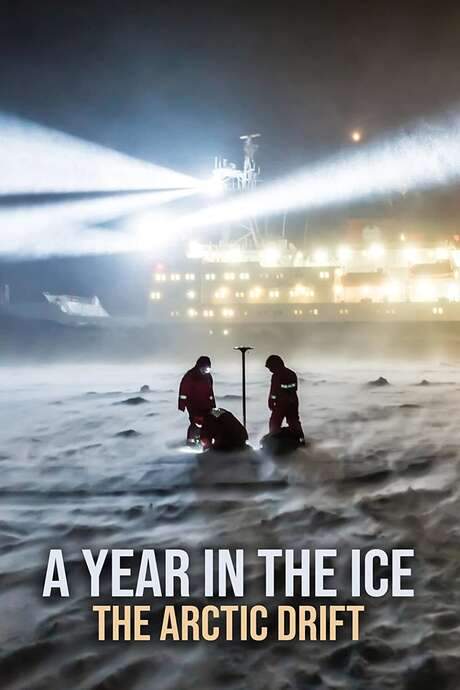 A Year in the Ice: The Arctic Drift (2021) movie poster