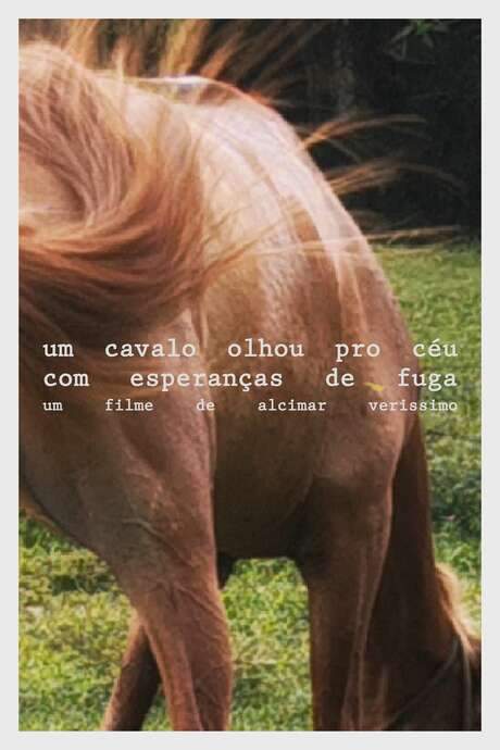 A horse looked at the sky with hope of escape (2021) movie poster