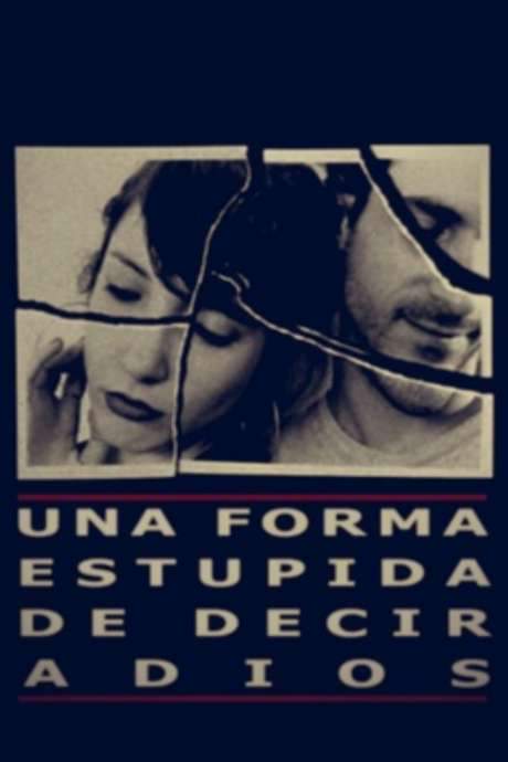 A stupid way to say goodbye (2004) movie poster