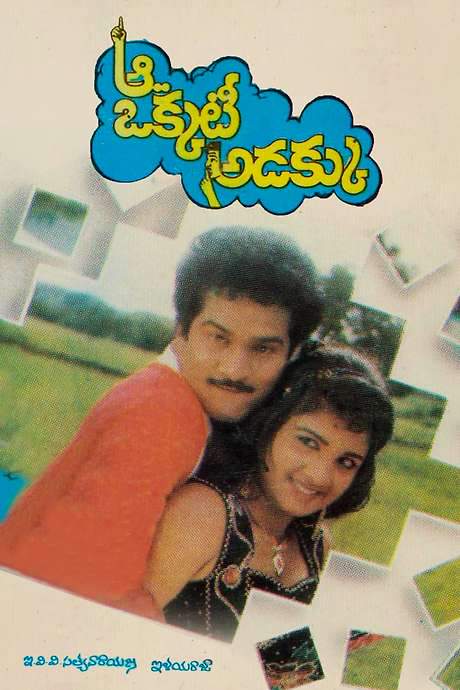 Aa Okkati Adakku (1992) movie poster