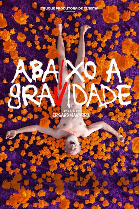 Abaixo a Gravidade (2017) movie poster