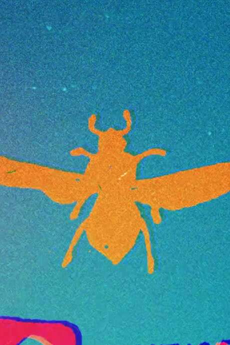 Bees bees bees…