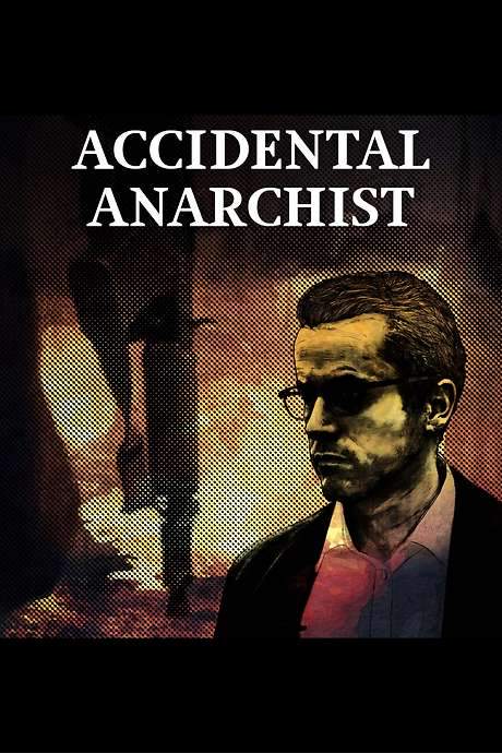 Accidental Anarchist (2017) movie poster