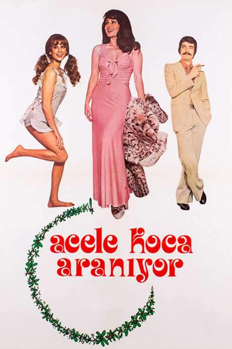 Acele Koca Aranıyor (1975) movie poster
