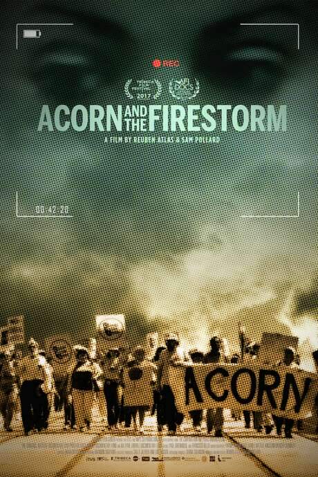 Acorn and the Firestorm (2017) movie poster
