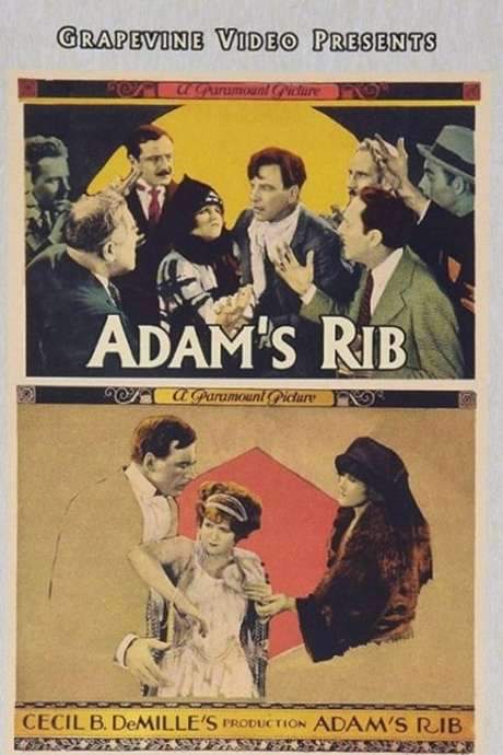 Adam’s Rib (1923) movie poster