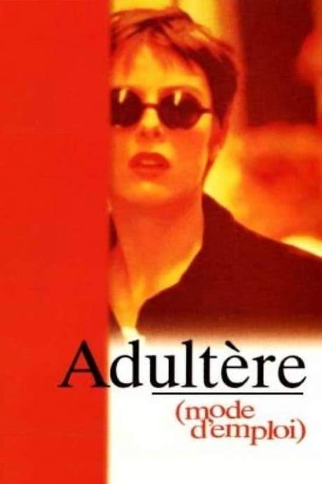 Adultery (A User’s Guide) (1995) movie poster