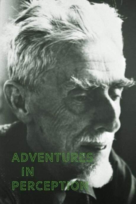 Adventures in Perception (1971) movie poster