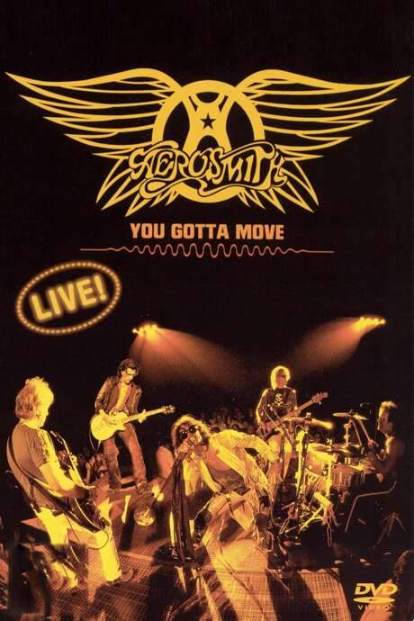 Aerosmith - You Gotta Move (2004) movie poster