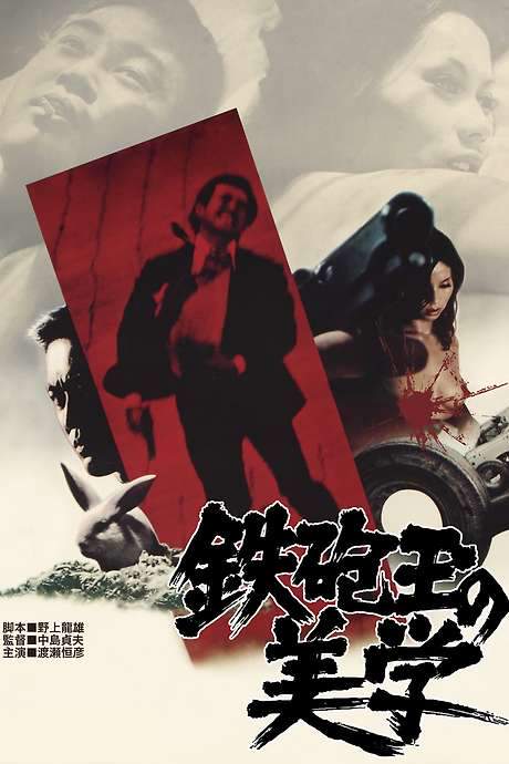 Aesthetics of a Bullet (1973) movie poster