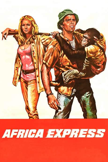 Africa Express (1975) movie poster