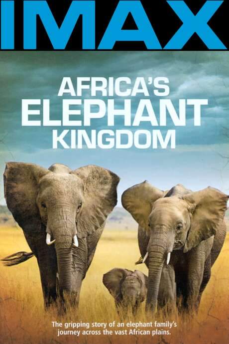 Africa’s Elephant Kingdom (1998) movie poster