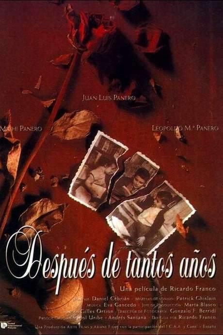 After All These Years (1994) movie poster