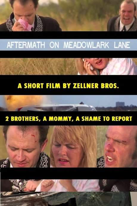 Aftermath On Meadowlark Lane (2007) movie poster